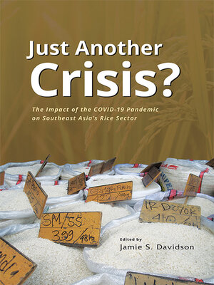 cover image of Just Another Crisis?